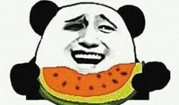 娱乐吃瓜酱如何跑出大山,从大山深处到网红之路的逆袭传奇